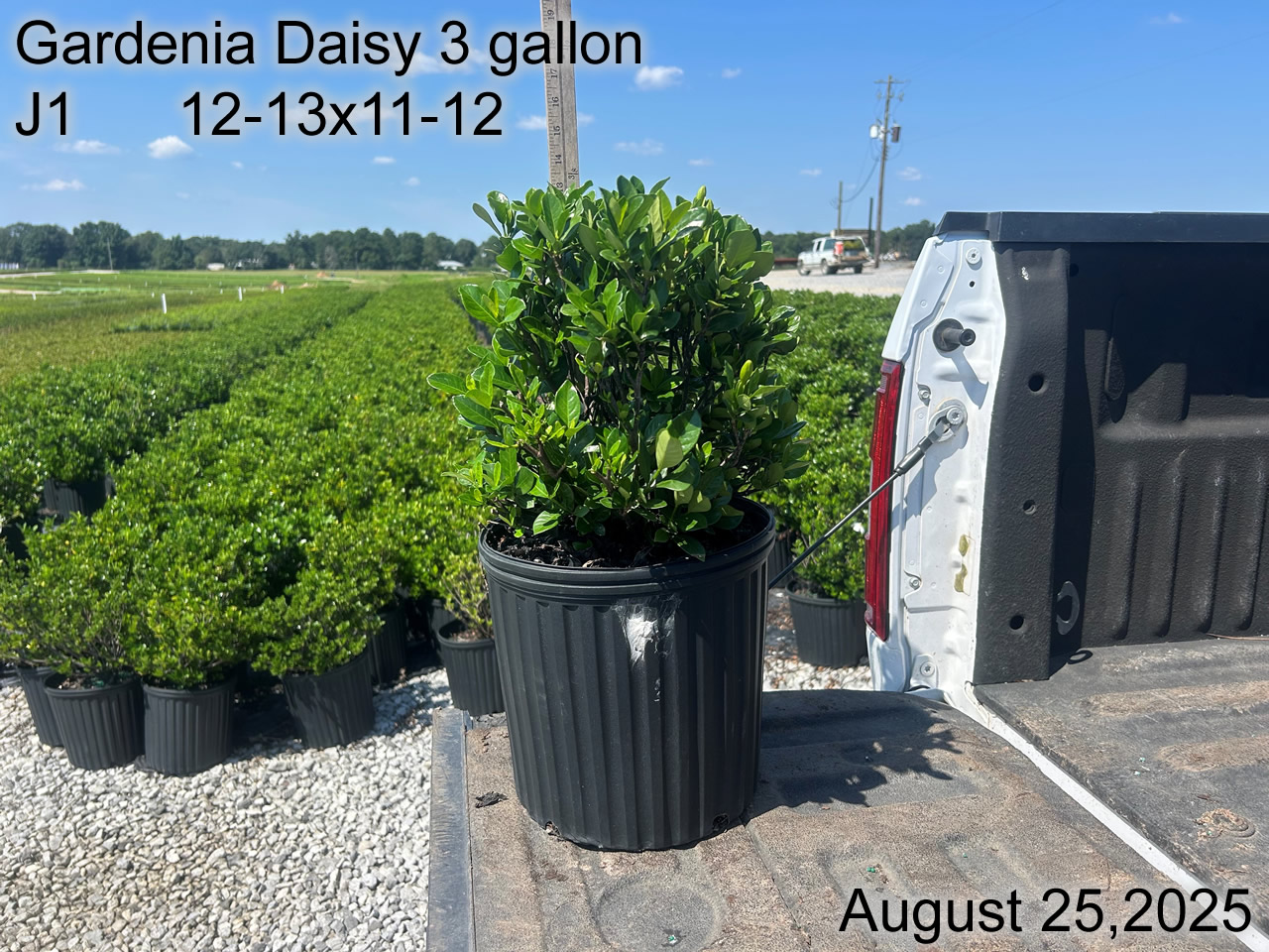 gallery/gdai3 j1 aug25.jpg